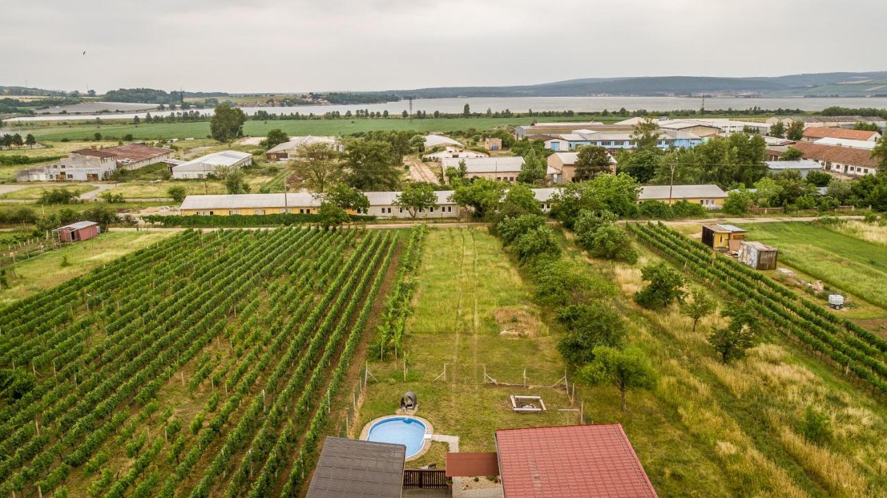 Penzion S Restauraci Na Furhaple Šakvice エクステリア 写真